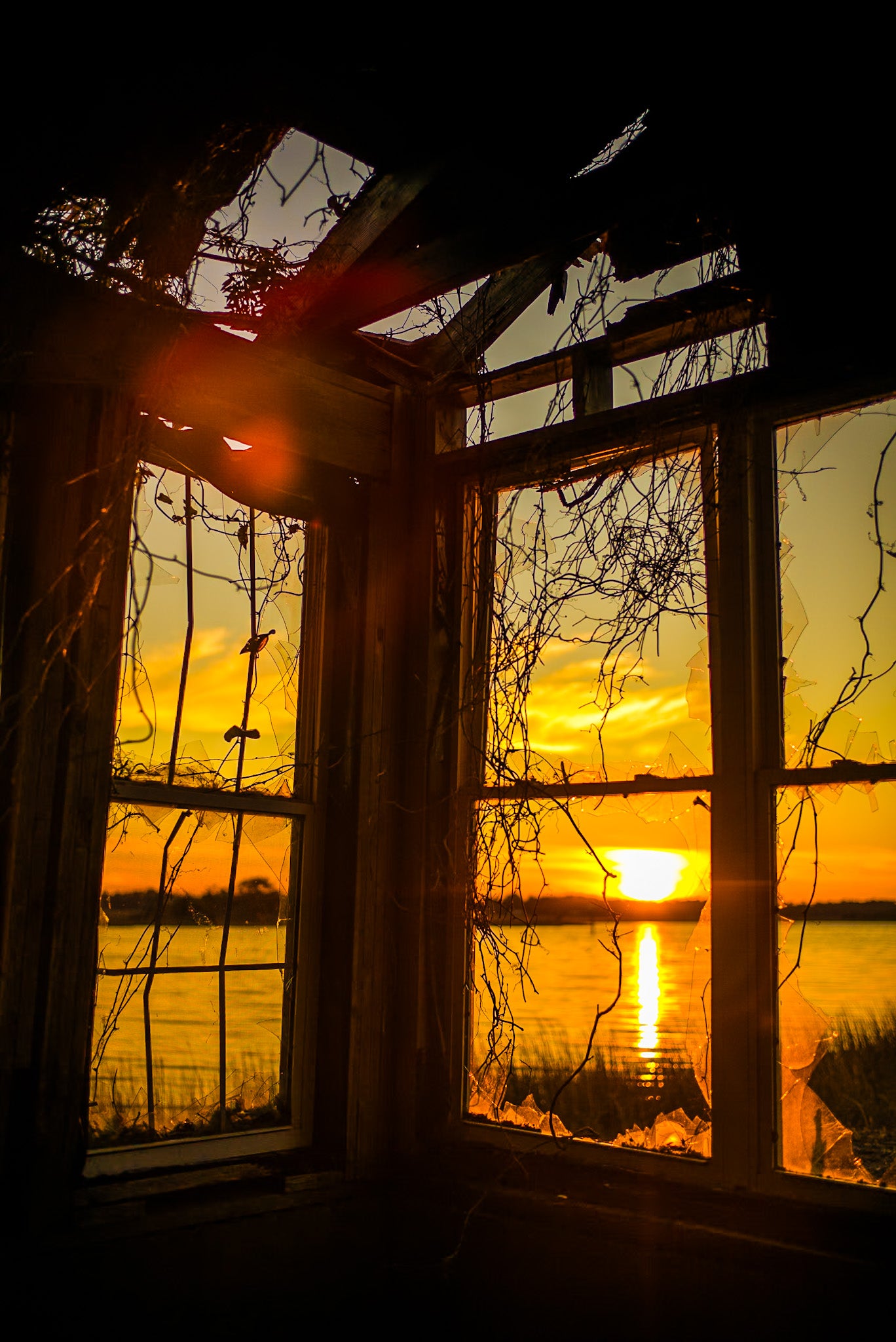 "Frame In Decay" Unframed #4-10