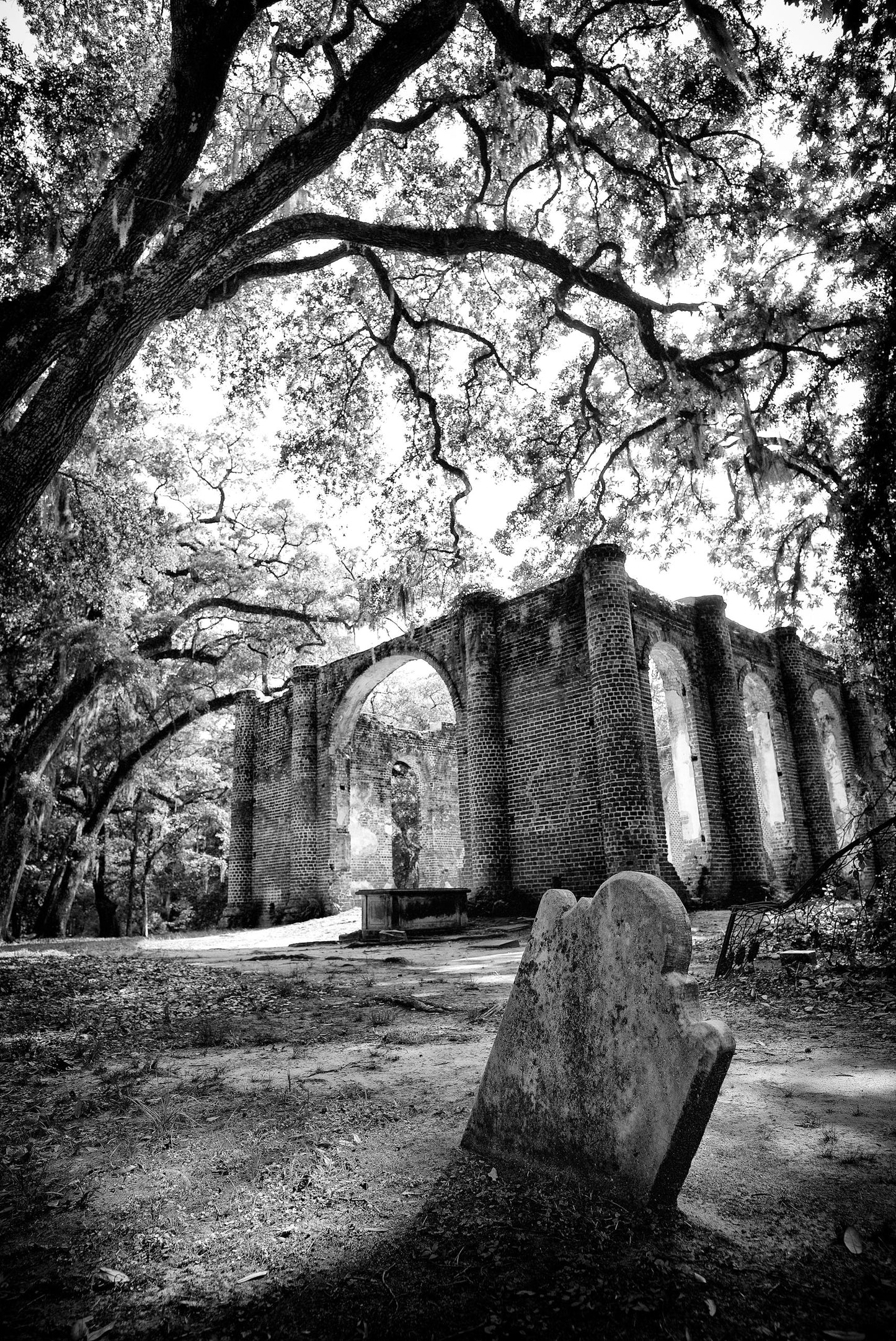 "Twice Burnt Beauty" Unframed #4-10