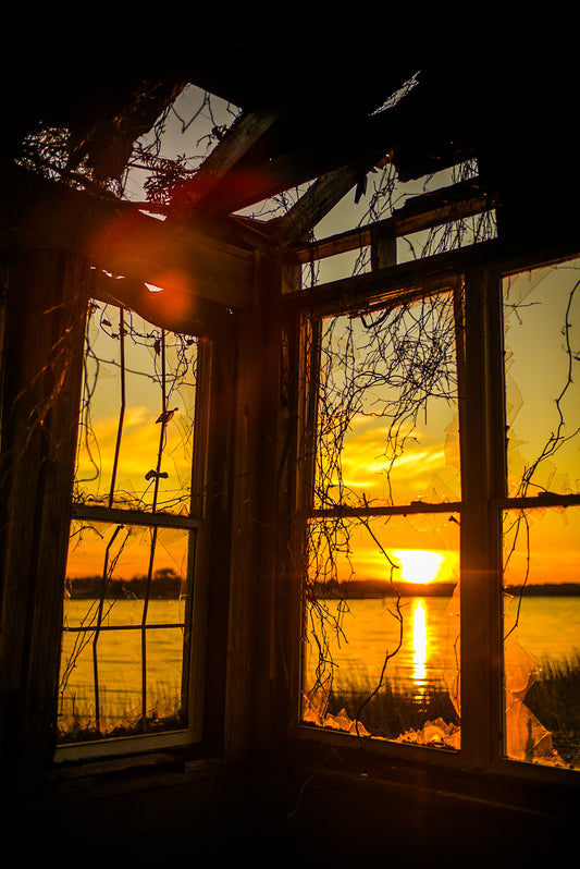 "Frame In Decay" Unframed #4-10