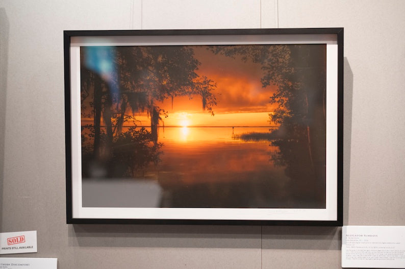 "Alligator Sundays" Framed #1-10