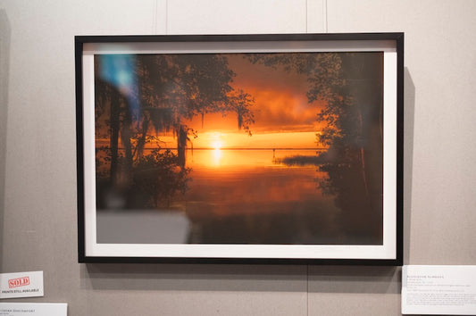 "Alligator Sundays" Framed #1-10